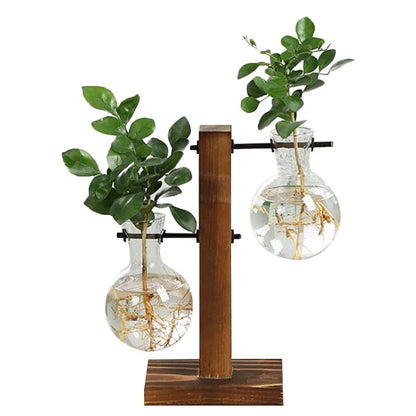 Glass & Wood Hydro Planter Set