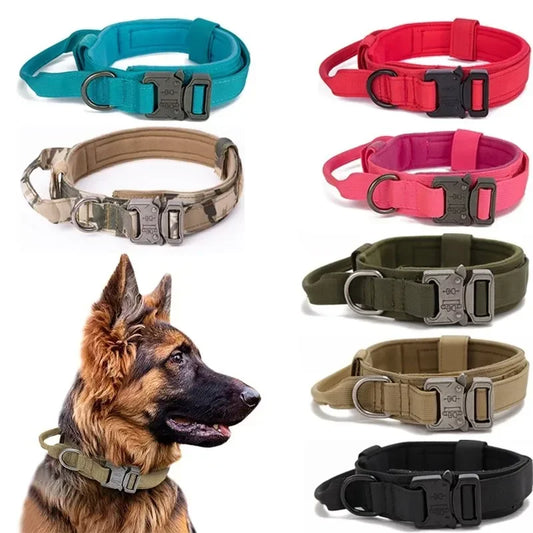 SafeTrek Tactical Leash & Collar Set for Dogs