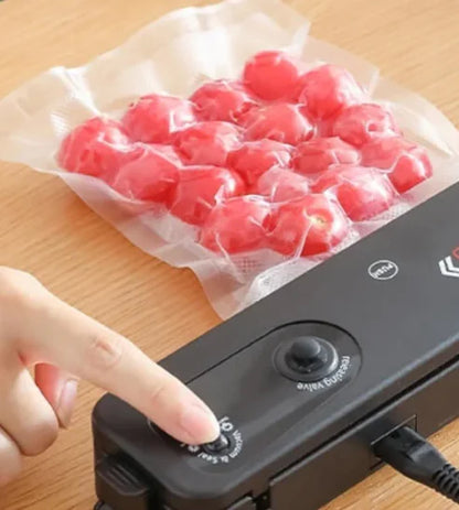 Vacuum Sealer for Keeping Food Fresh