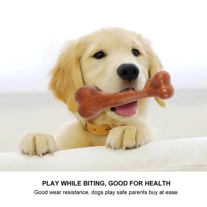 Durable Chew Delight: Tough Bone for Happy Pups!