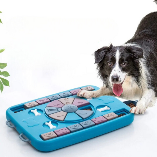 Pet Training Puzzle Game