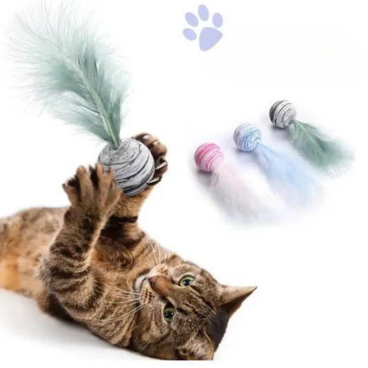 Cat Toy Feather Ball