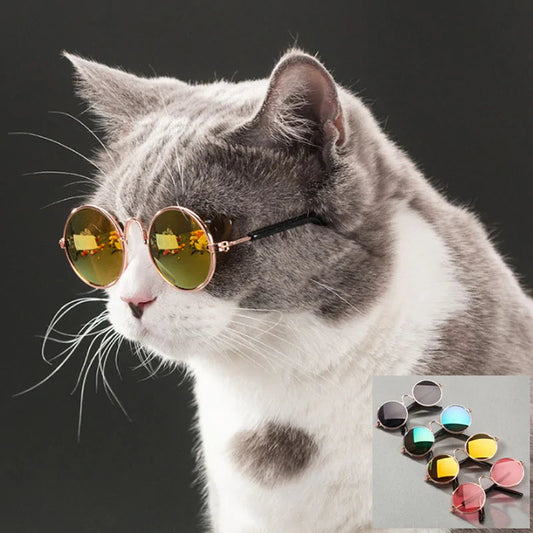 FurryChic Pet Sunglasses