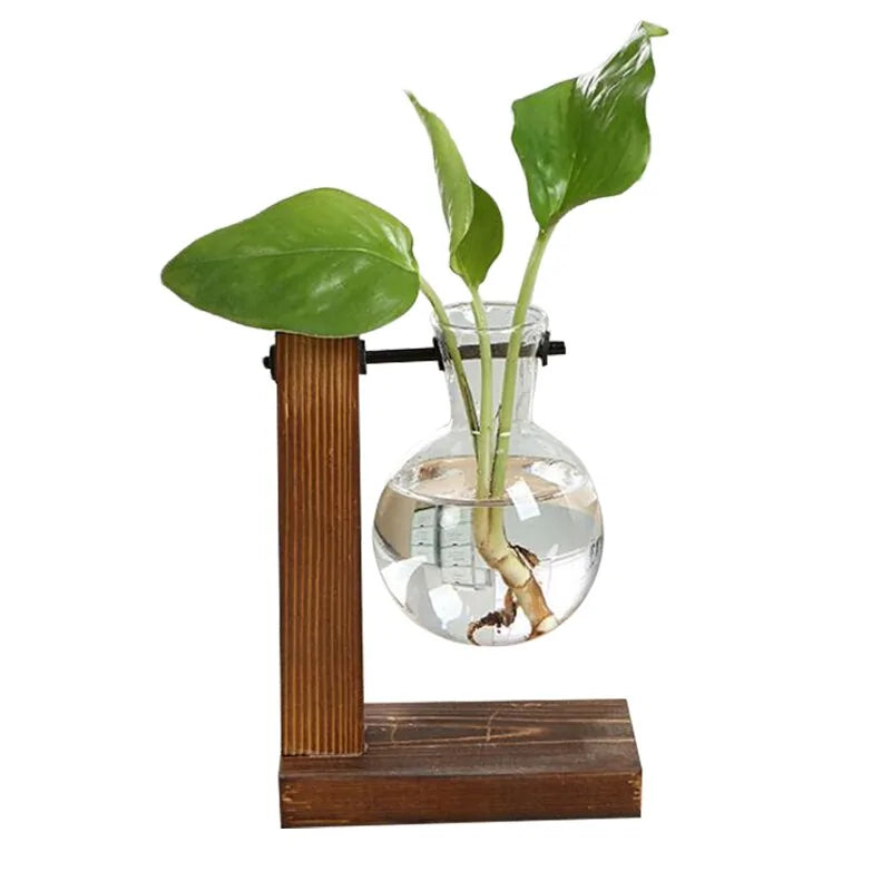 Glass & Wood Hydro Planter Set